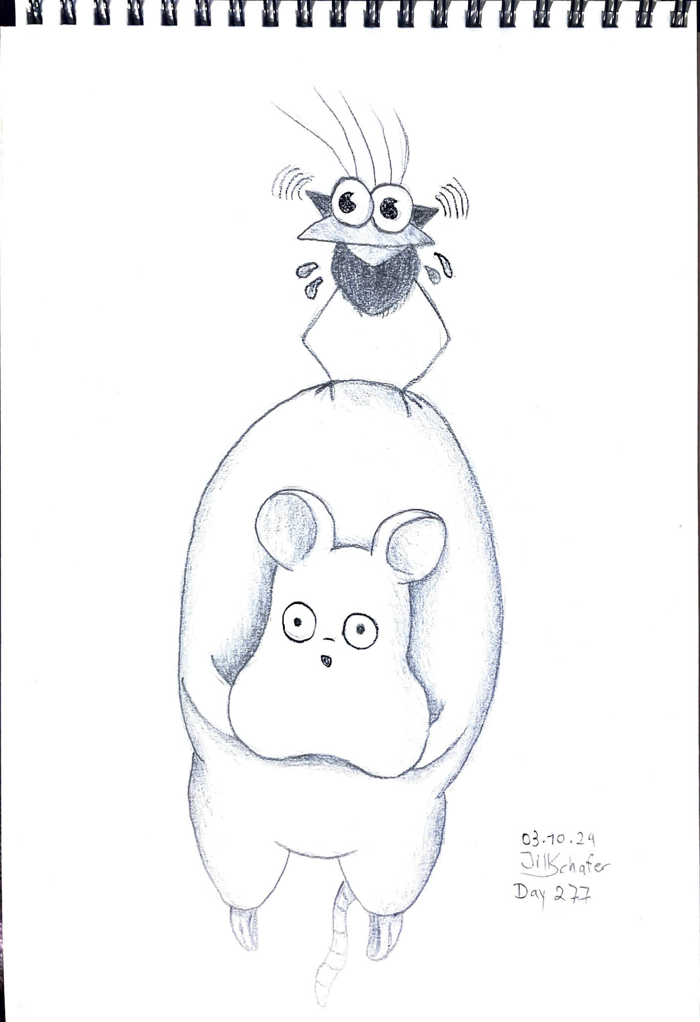 365 Zeichnungen - Drawing every day no matter what