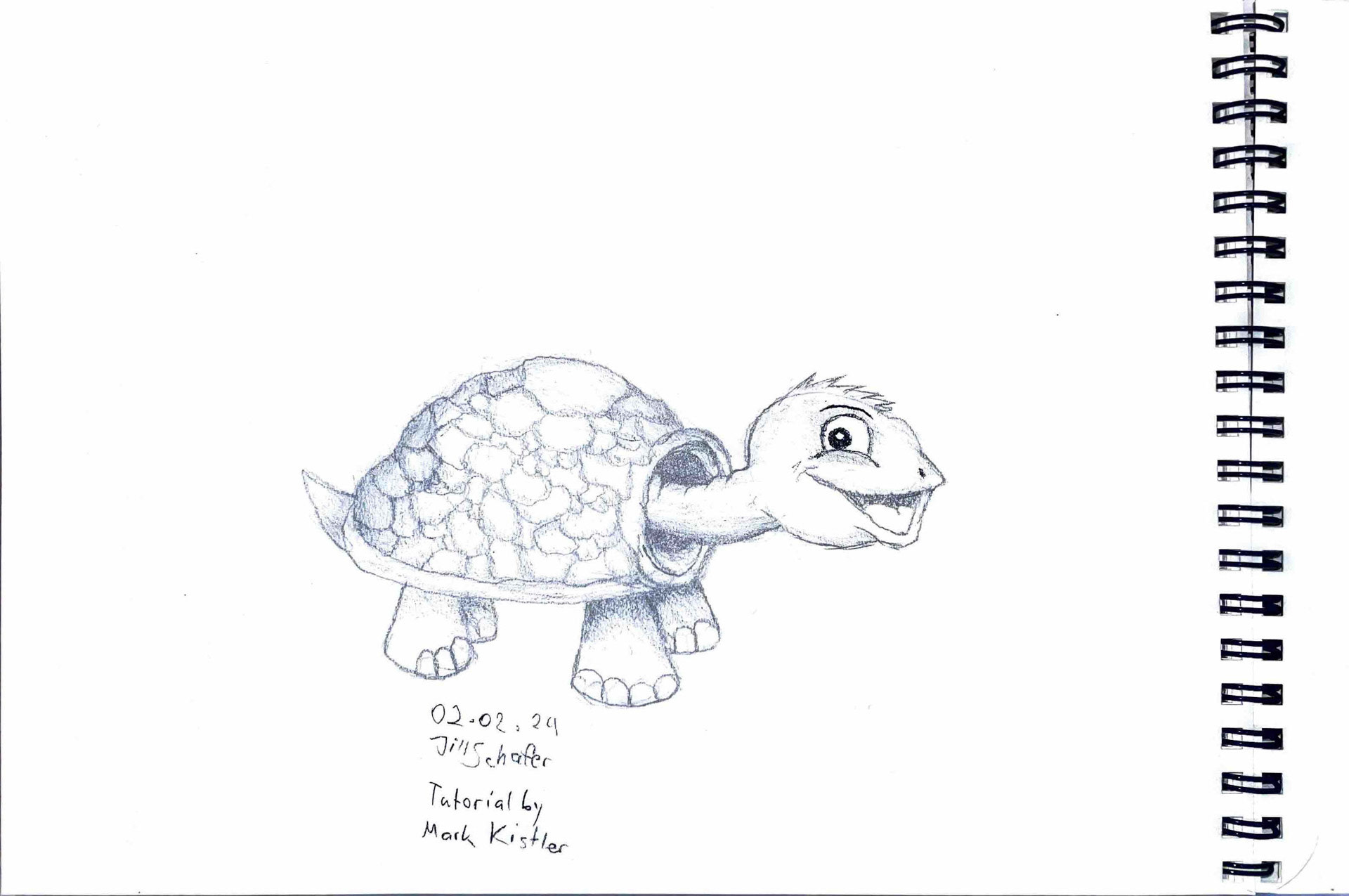 365 Zeichnungen - Drawing every day no matter what