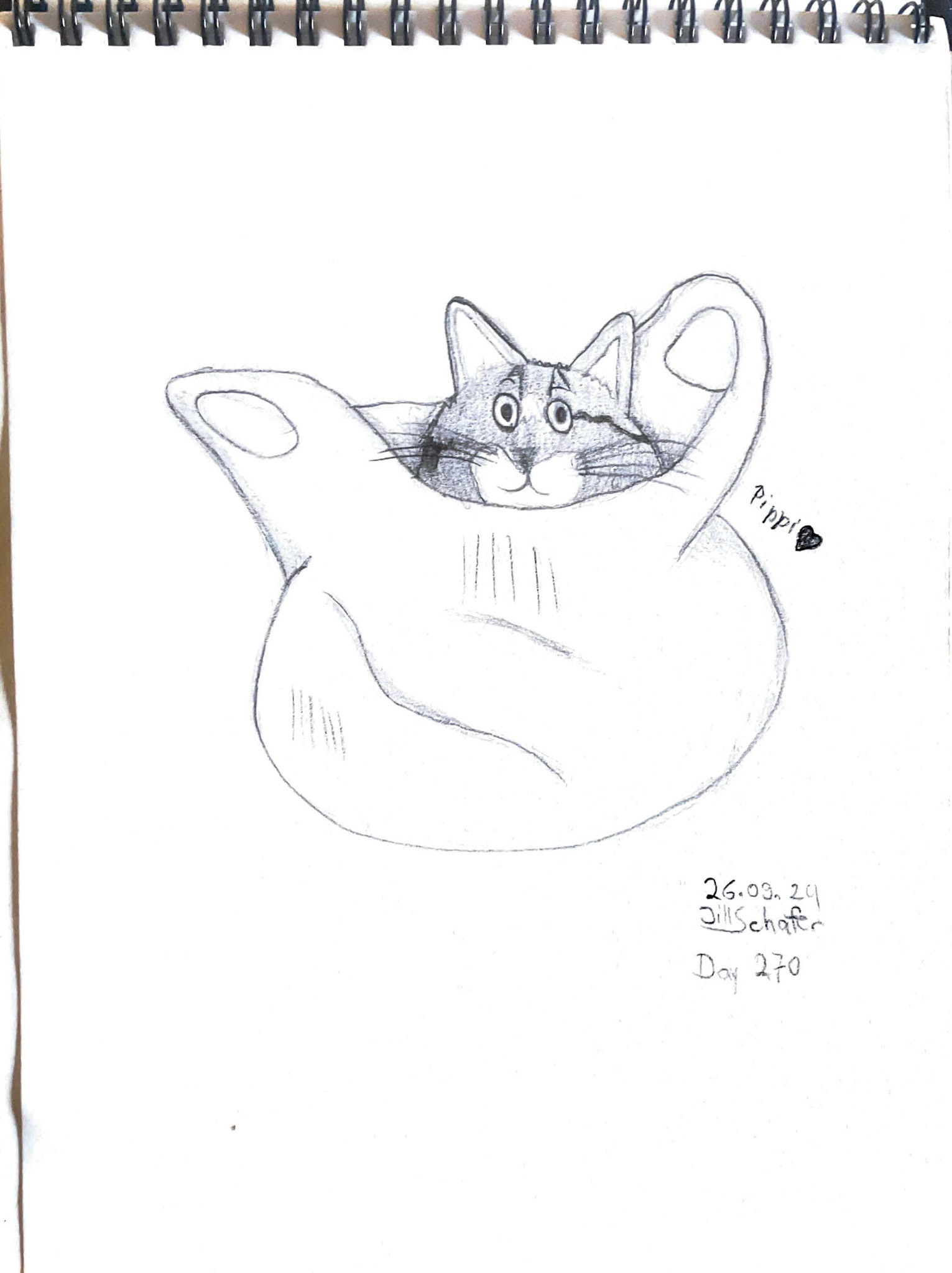 365 Zeichnungen - Drawing every day no matter what