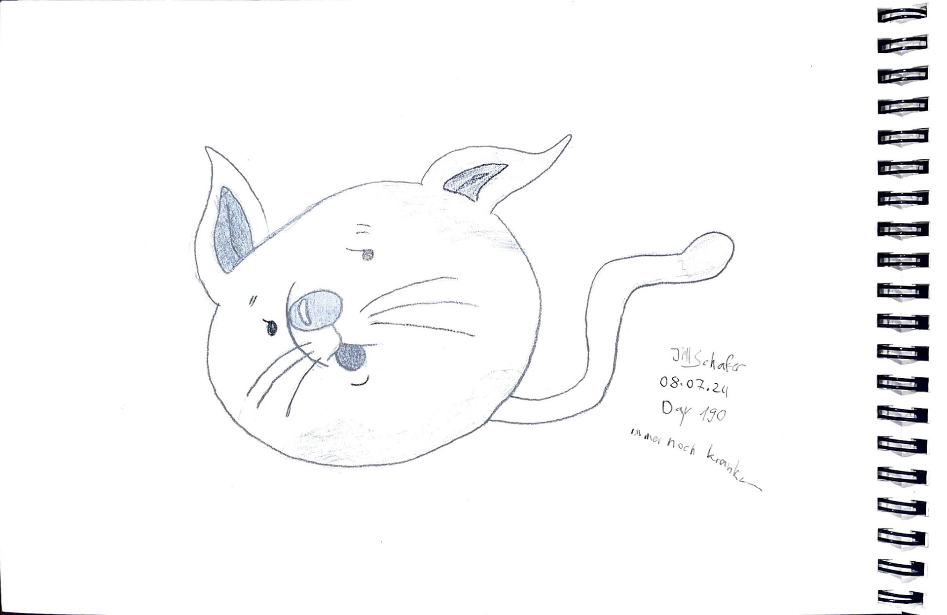 365 Zeichnungen - Drawing every day no matter what
