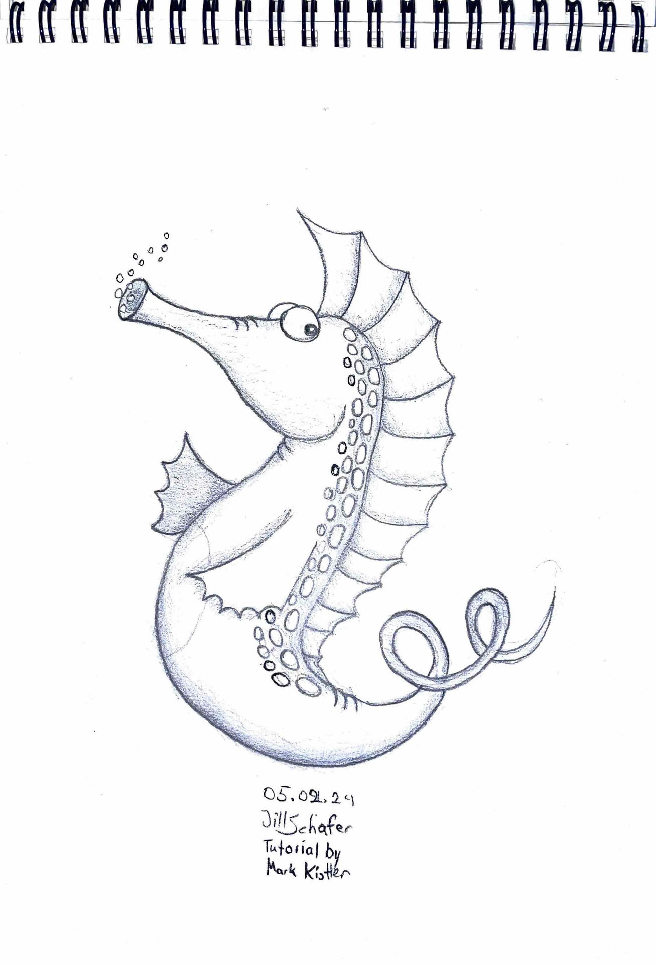 365 Zeichnungen - Drawing every day no matter what