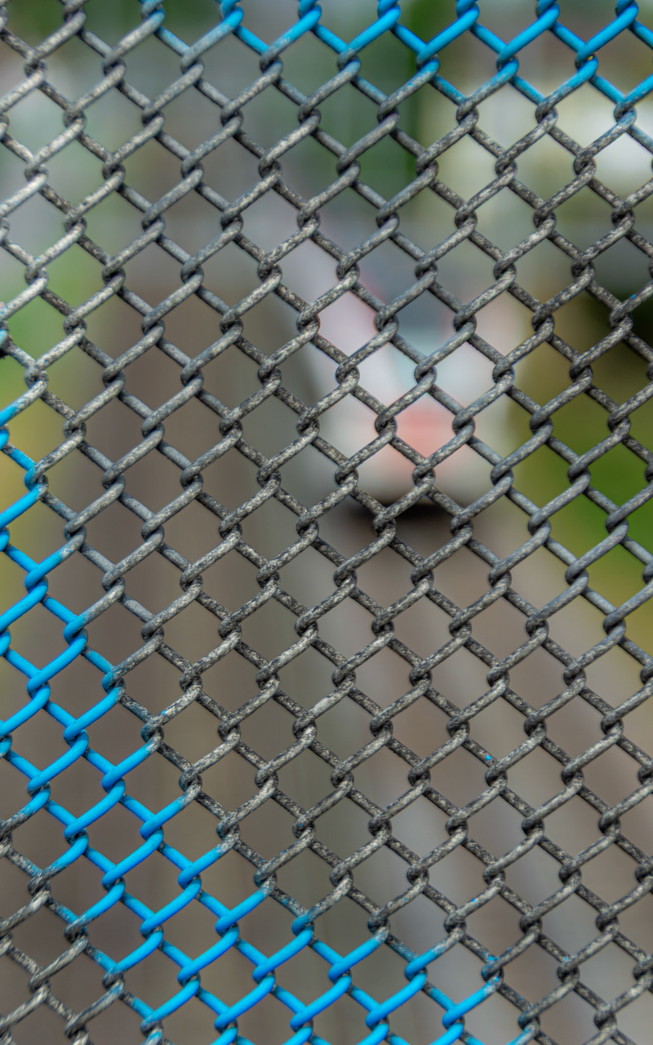 Der Blick durch das Gitter kann je nach Fokuspunkt ganz verschieden sein - Spielereien sind grossartig