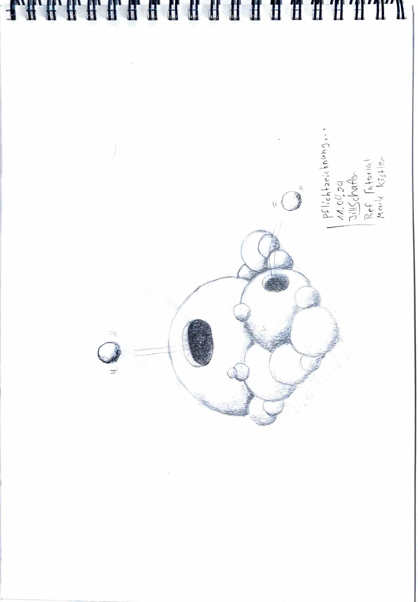 365 Zeichnungen - Drawing every day no matter what