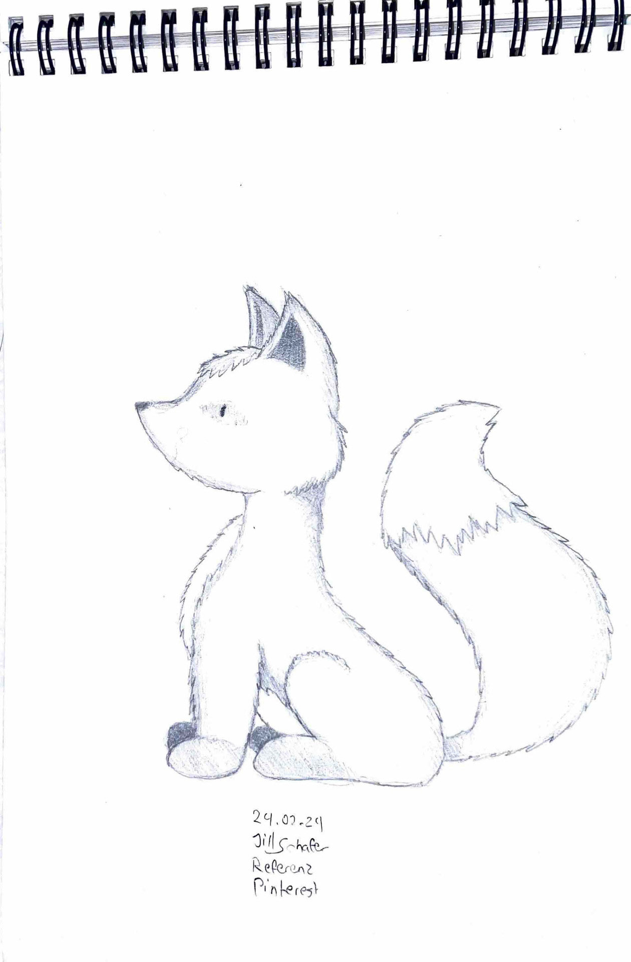 365 Zeichnungen - Drawing every day no matter what