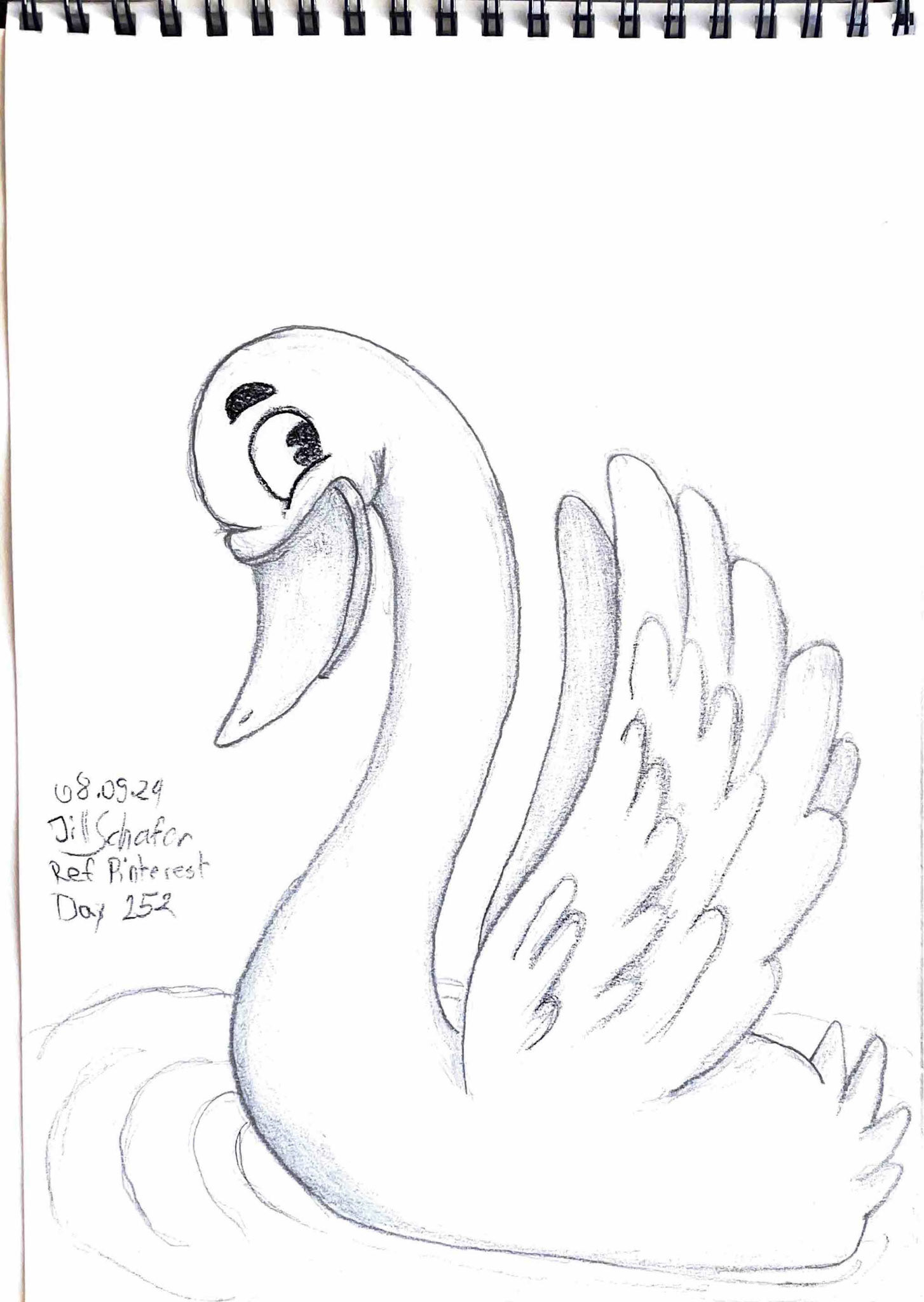 365 Zeichnungen - Drawing every day no matter what