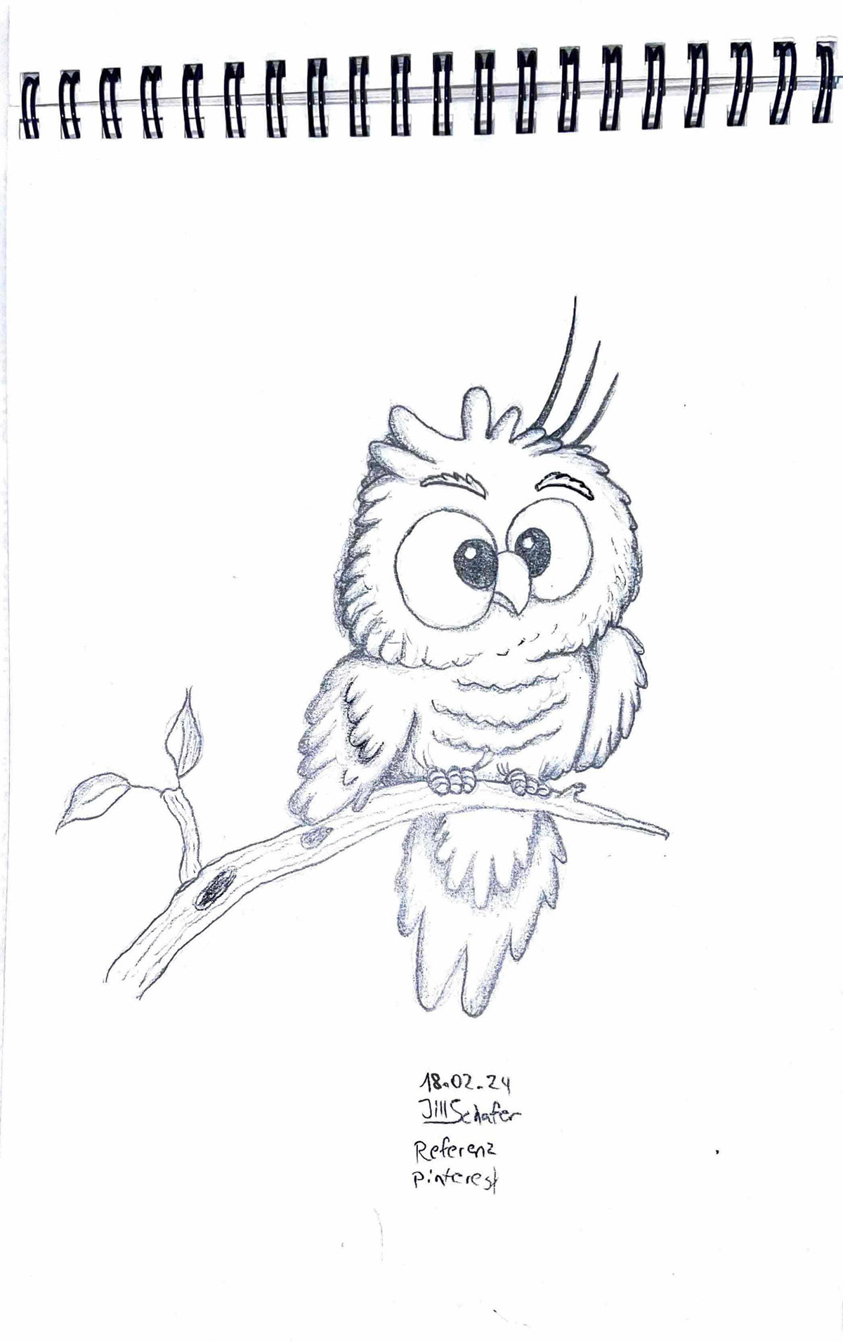 365 Zeichnungen - Drawing every day no matter what
