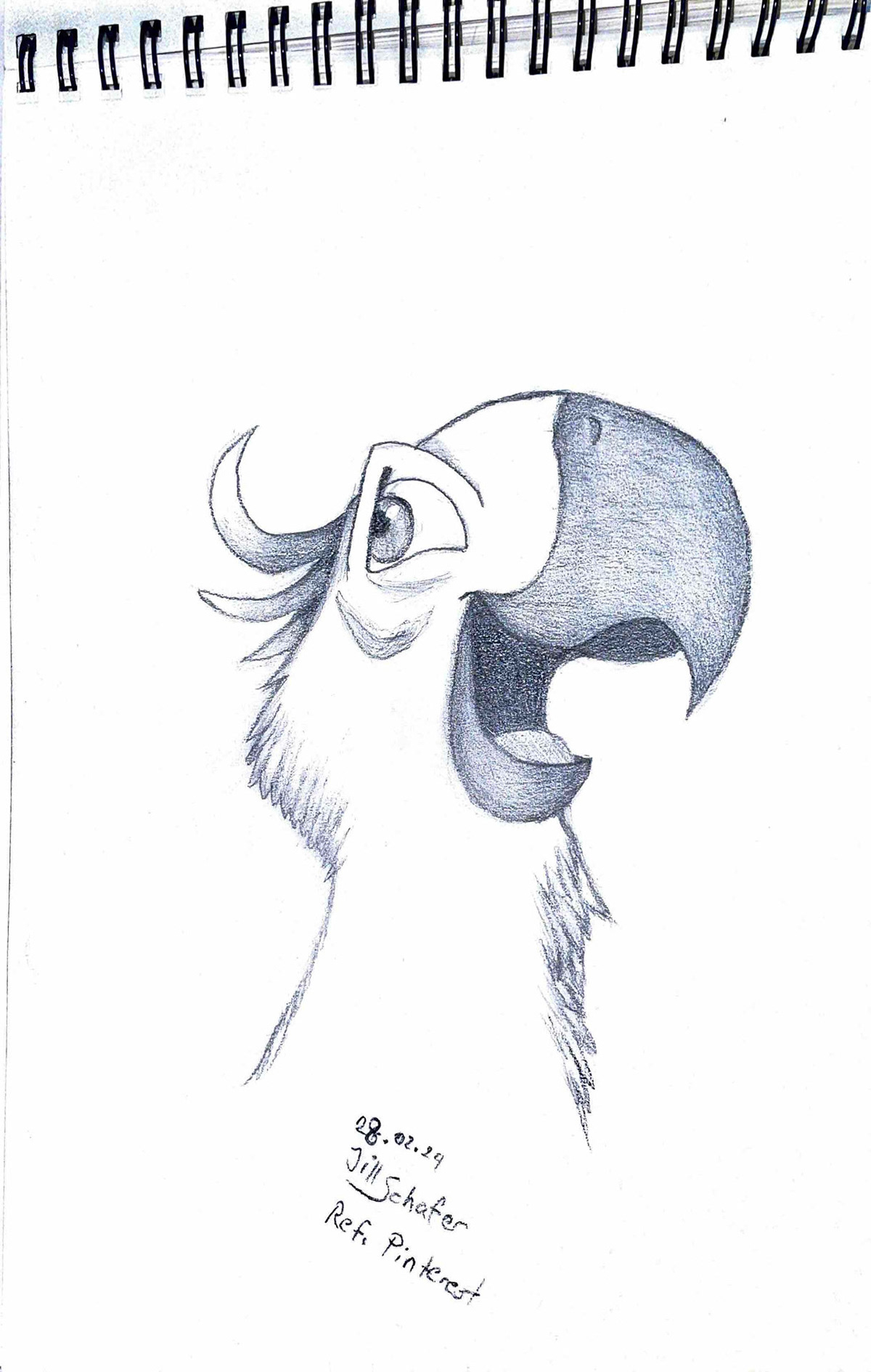365 Zeichnungen - Drawing every day no matter what