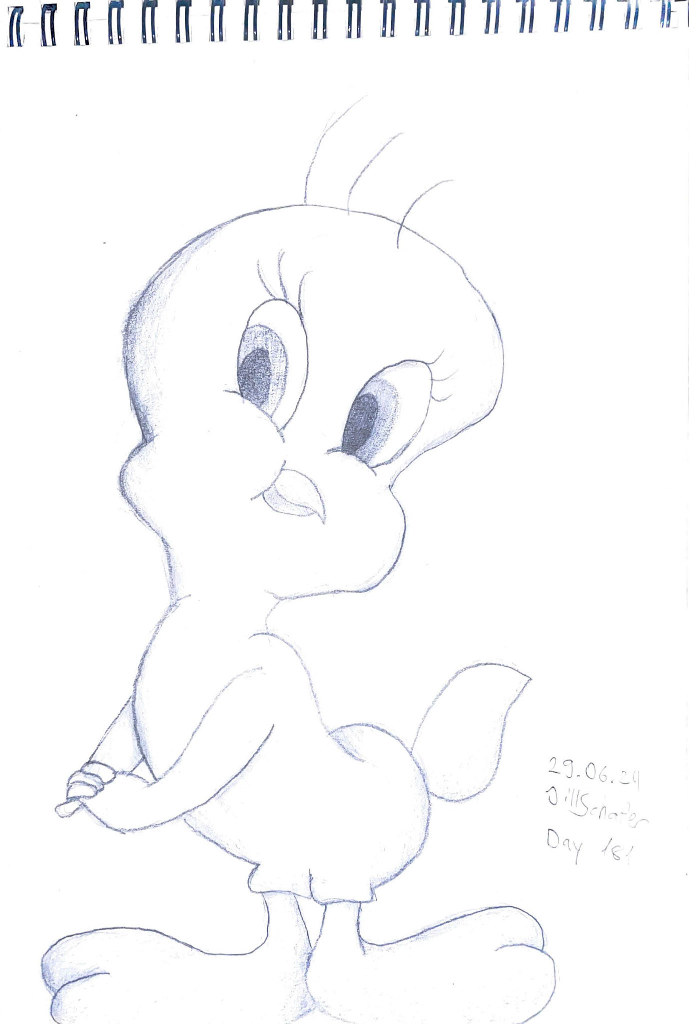 365 Zeichnungen - Drawing every day no matter what