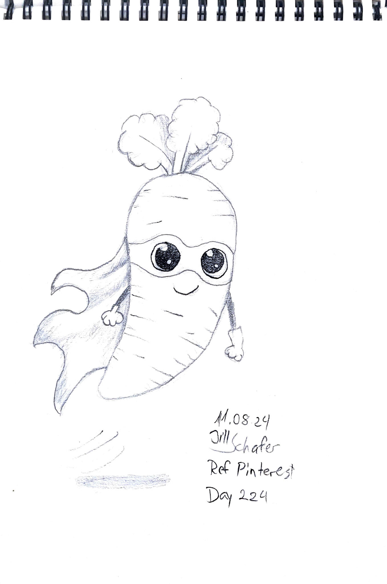 365 Zeichnungen - Drawing every day no matter what