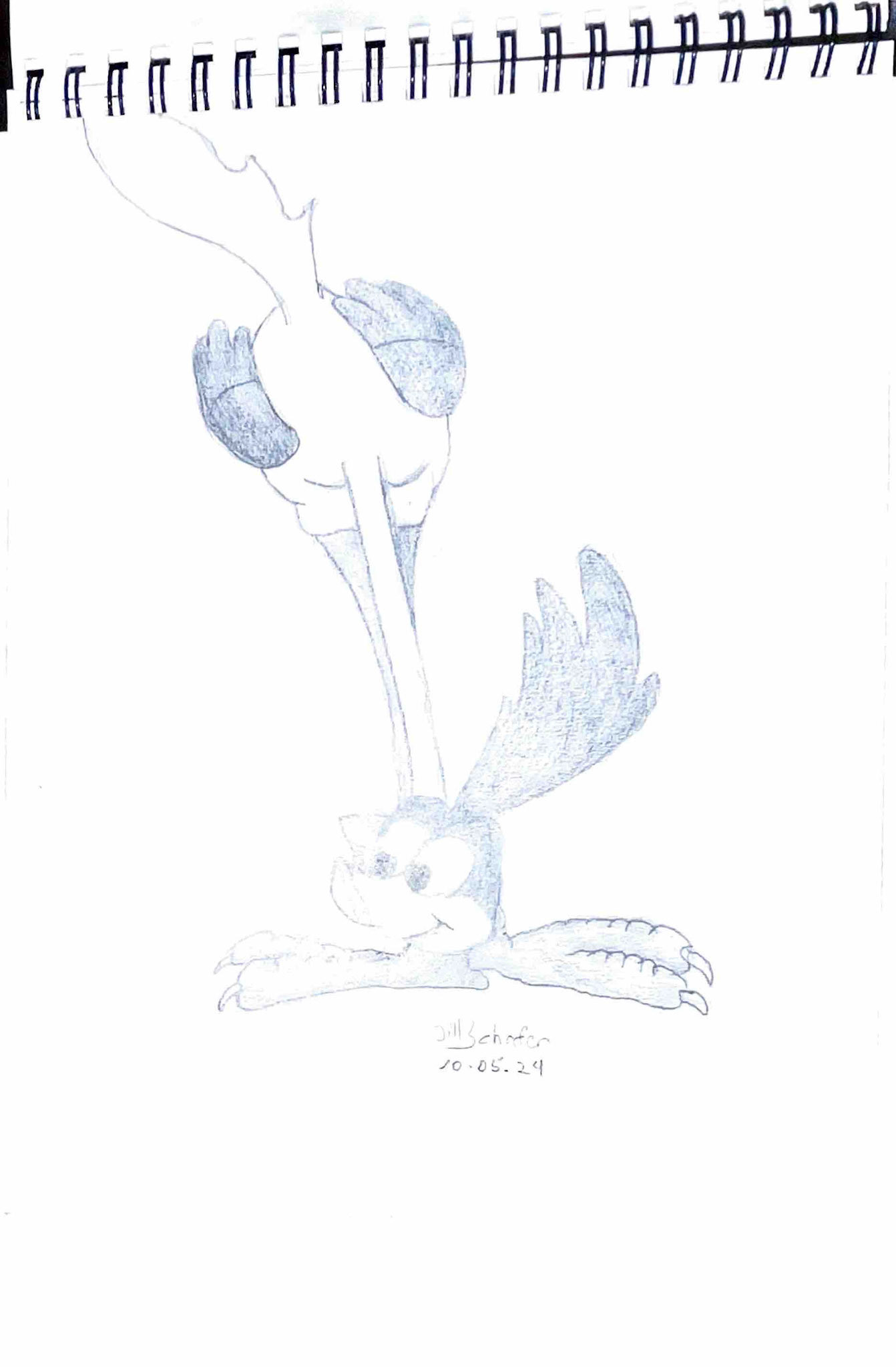 365 Zeichnungen - Drawing every day no matter what
