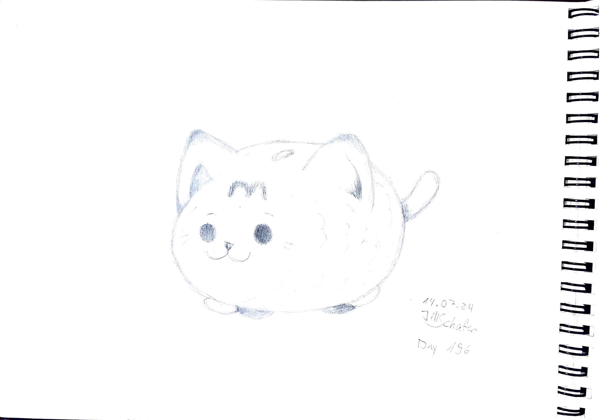 365 Zeichnungen - Drawing every day no matter what