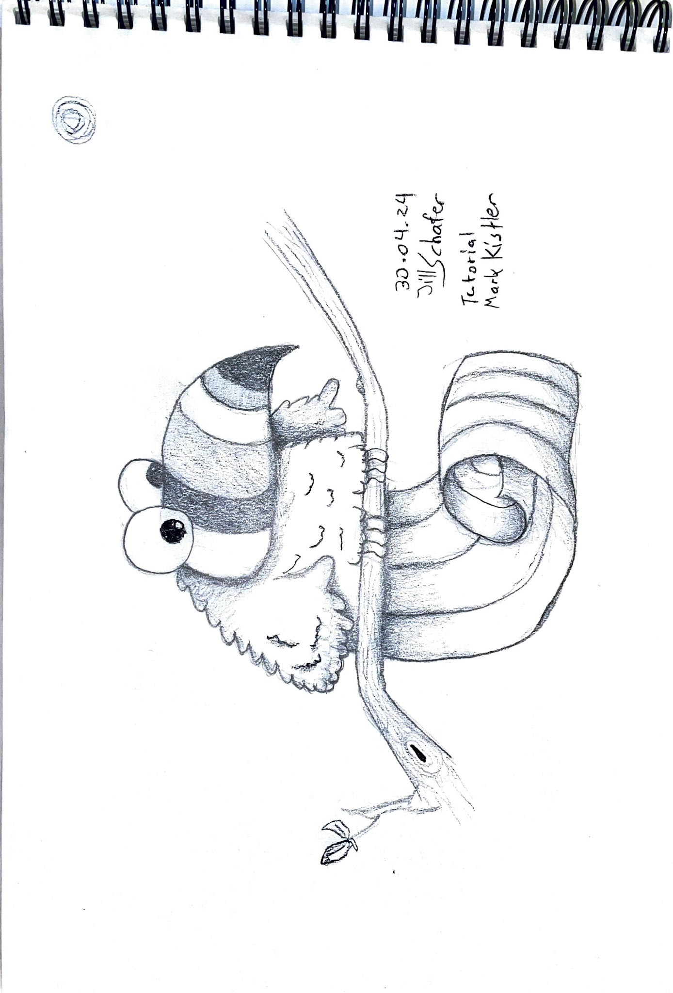 365 Zeichnungen - Drawing every day no matter what