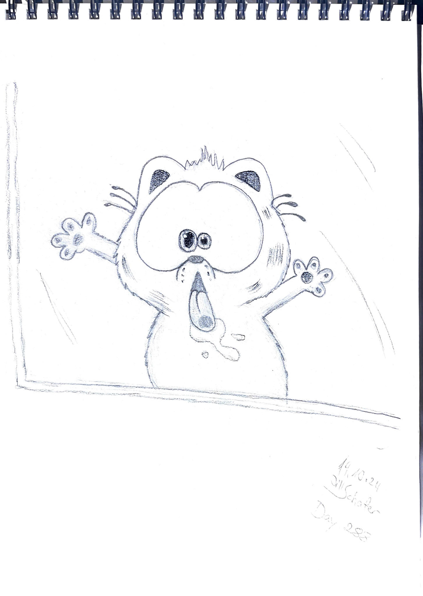 365 Zeichnungen - Drawing every day no matter what
