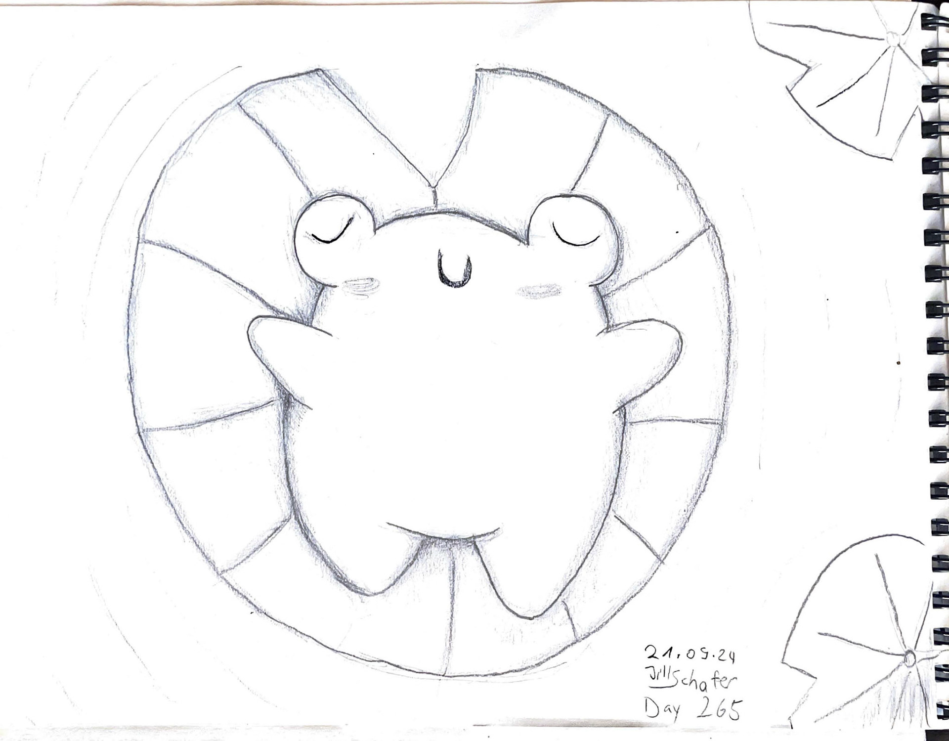 365 Zeichnungen - Drawing every day no matter what