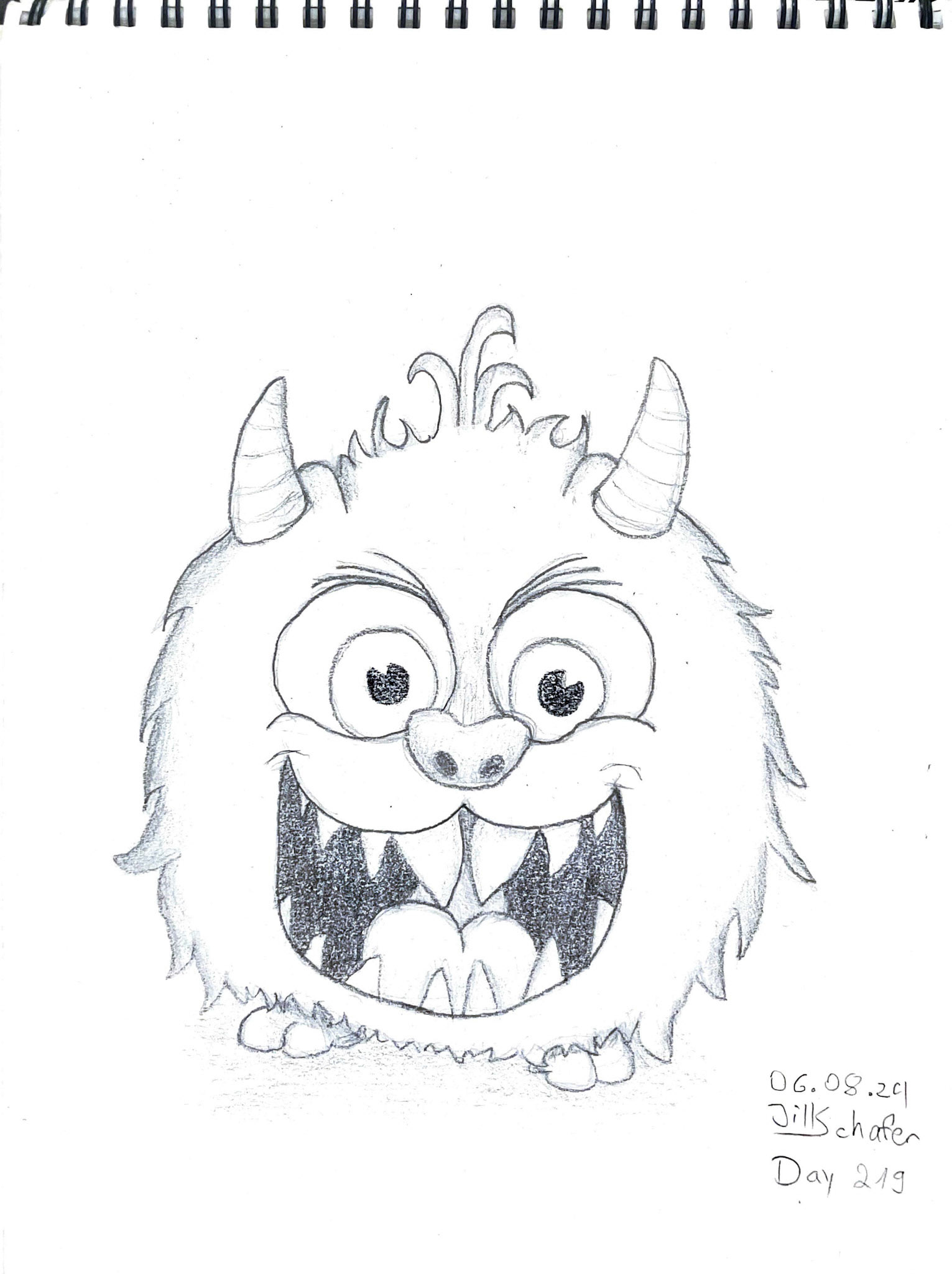365 Zeichnungen - Drawing every day no matter what