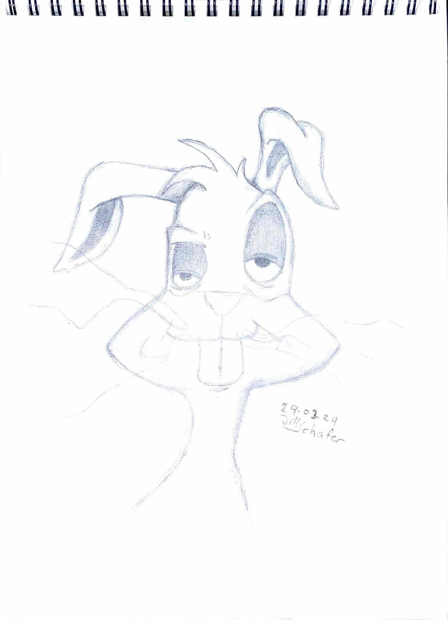 365 Zeichnungen - Drawing every day no matter what