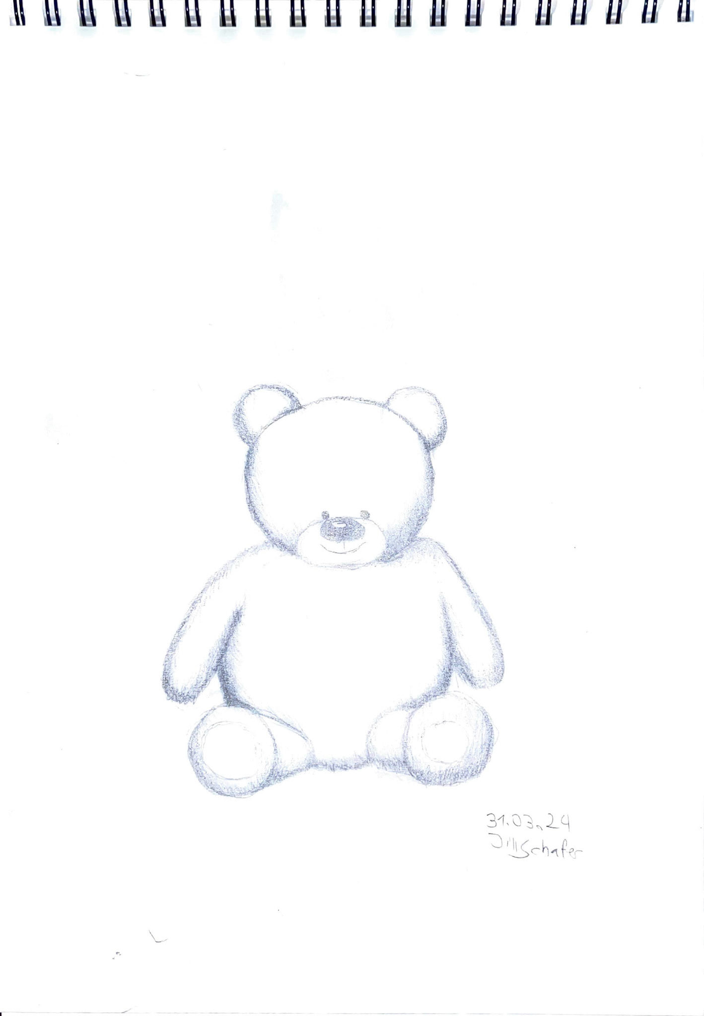 365 Zeichnungen - Drawing every day no matter what