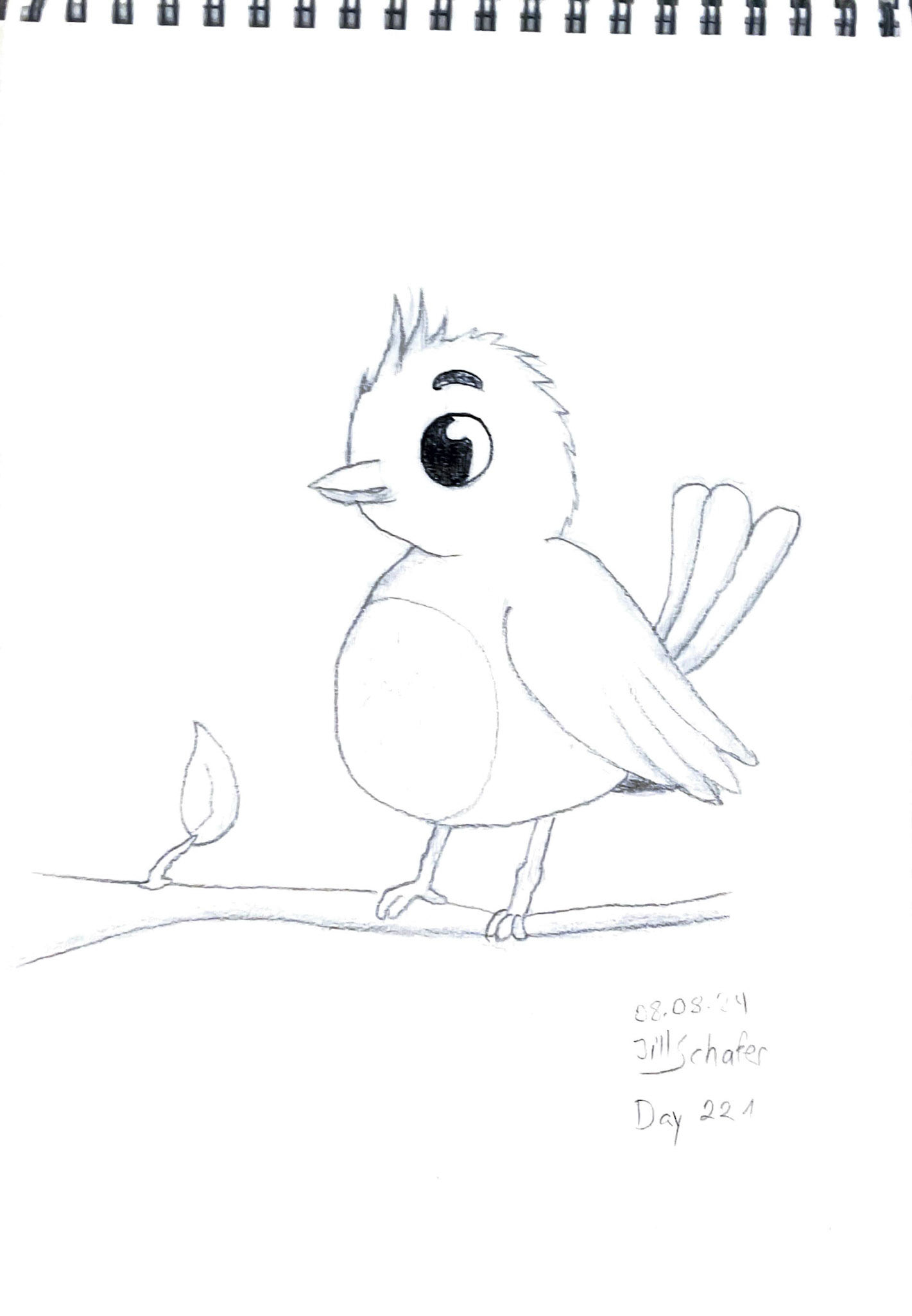 365 Zeichnungen - Drawing every day no matter what