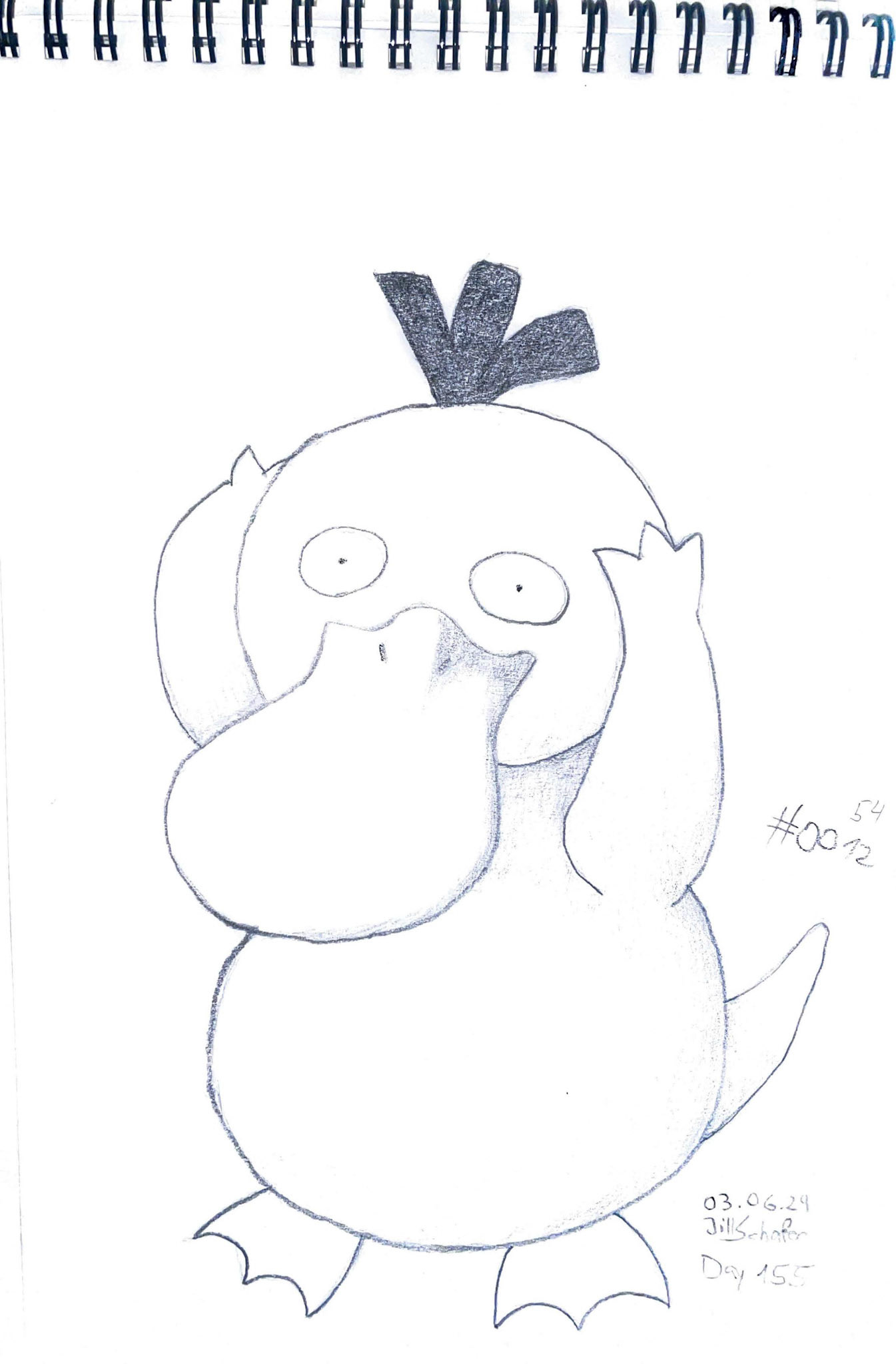 365 Zeichnungen - Drawing every day no matter what