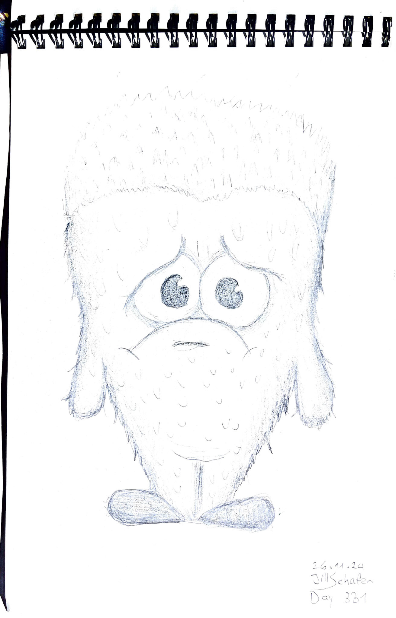 365 Zeichnungen - Drawing every day no matter what