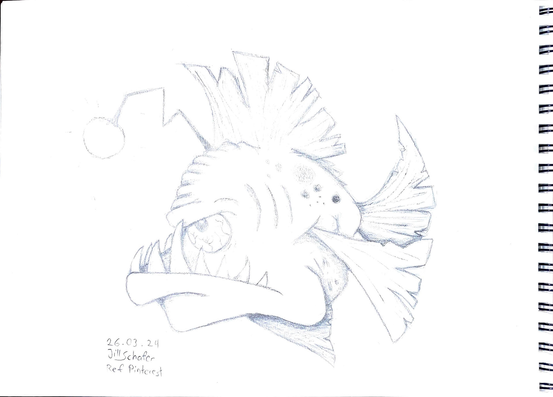 365 Zeichnungen - Drawing every day no matter what