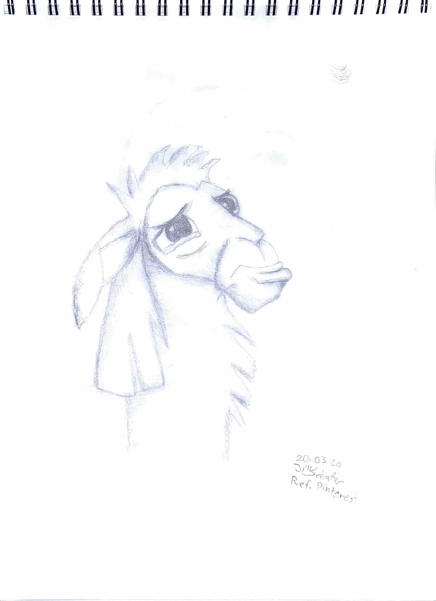 365 Zeichnungen - Drawing every day no matter what