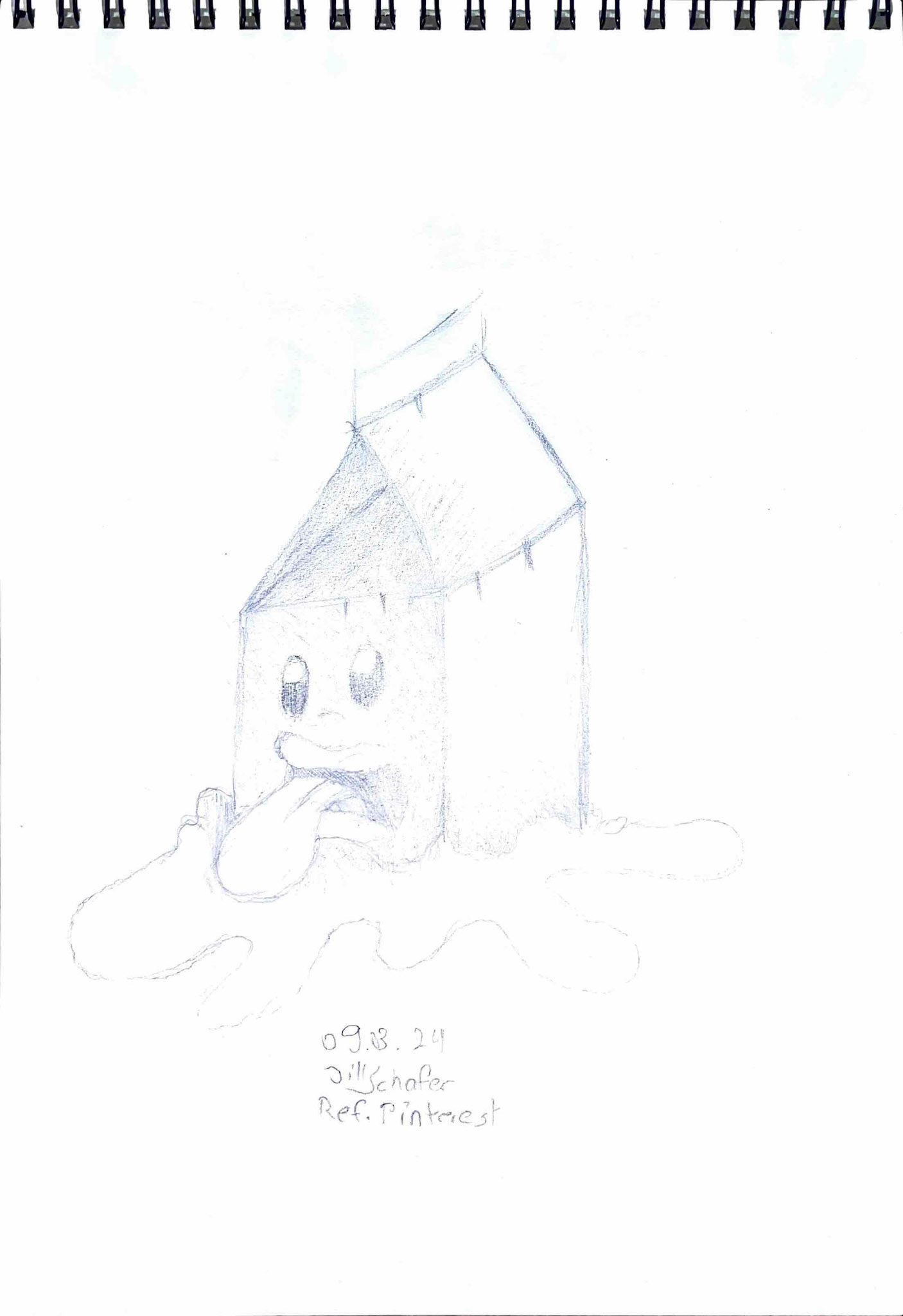 365 Zeichnungen - Drawing every day no matter what