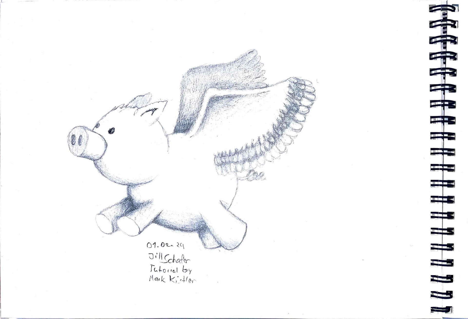 365 Zeichnungen - Drawing every day no matter what