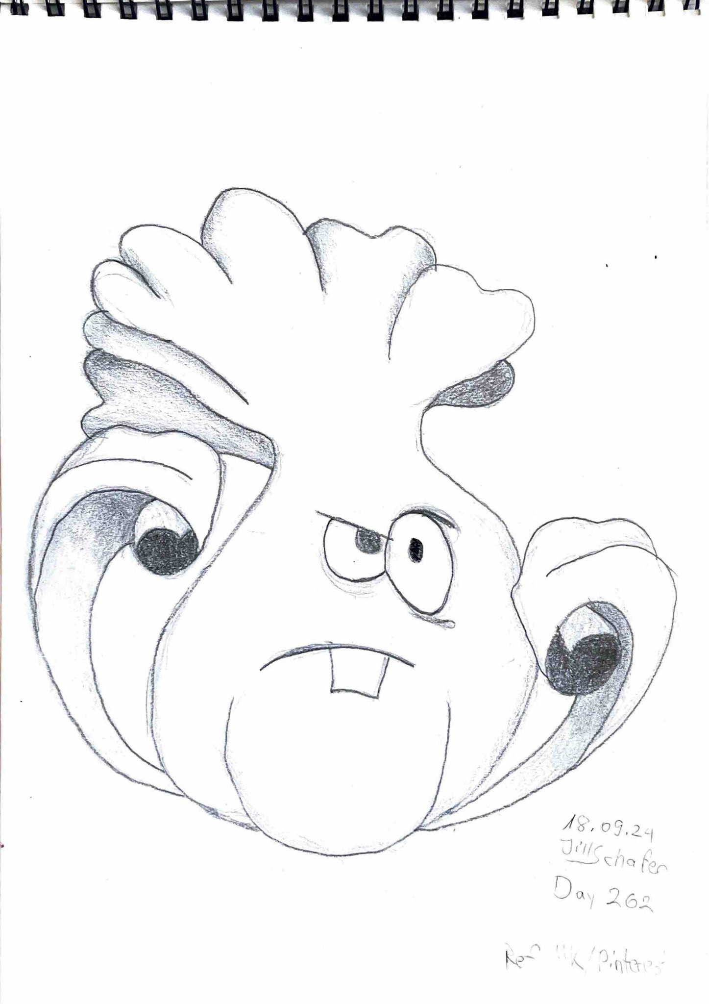 365 Zeichnungen - Drawing every day no matter what