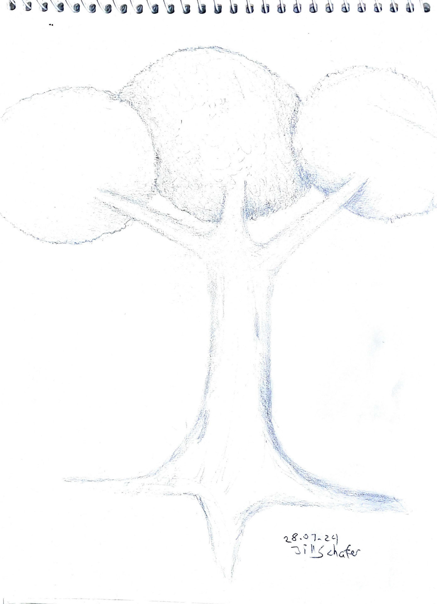 365 Zeichnungen - Drawing every day no matter what