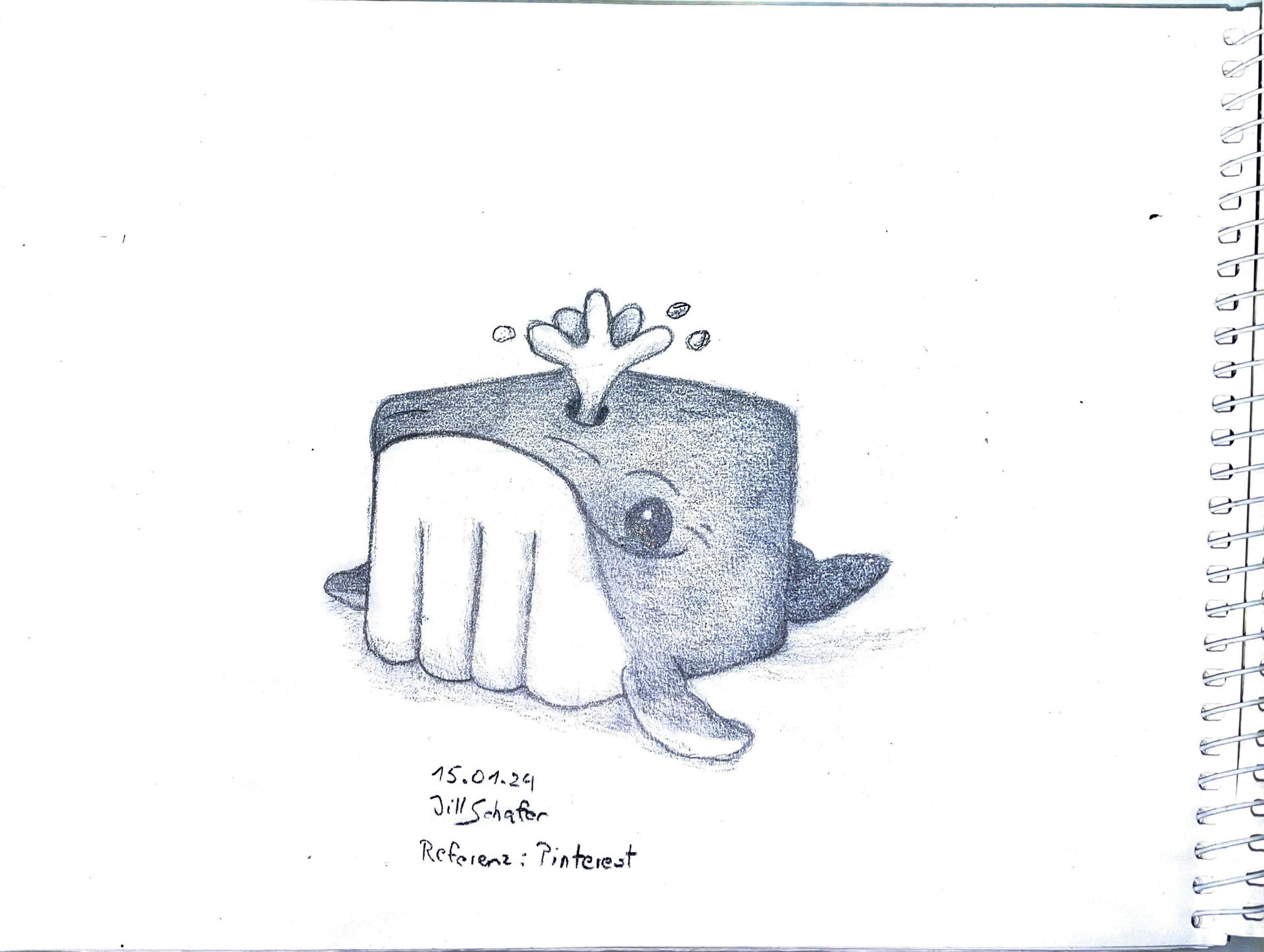 365 Zeichnungen - Drawing every day no matter what