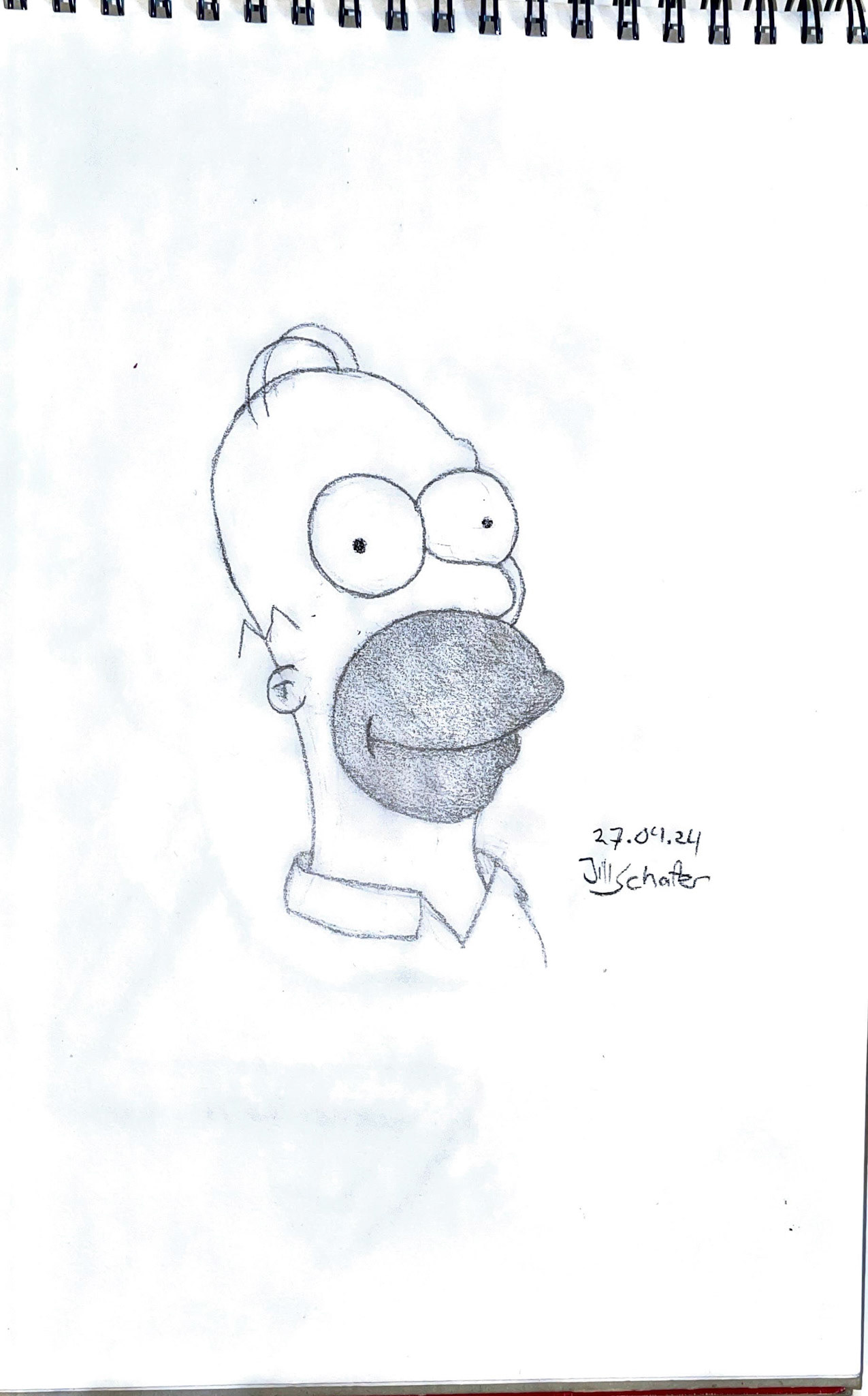 365 Zeichnungen - Drawing every day no matter what