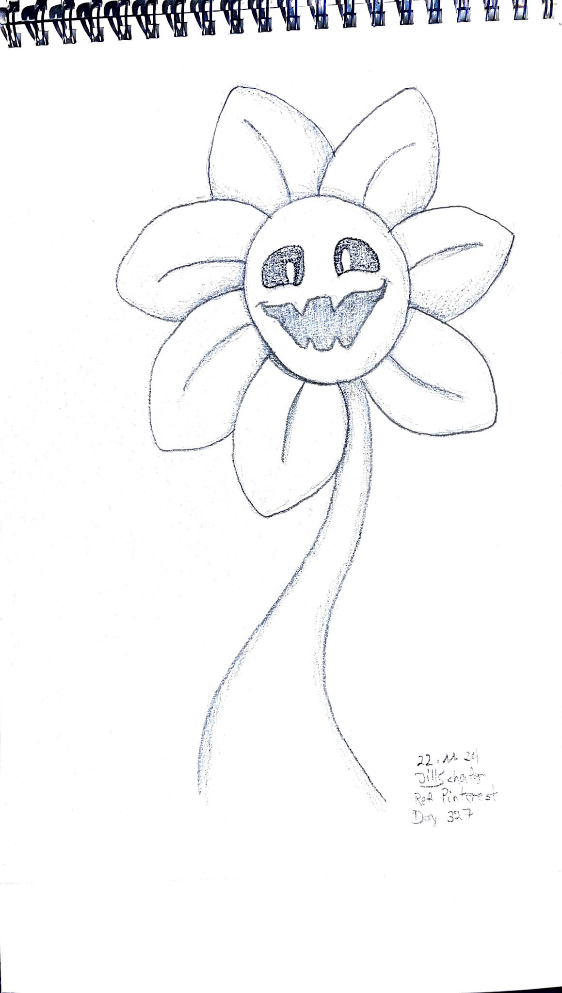 365 Zeichnungen - Drawing every day no matter what