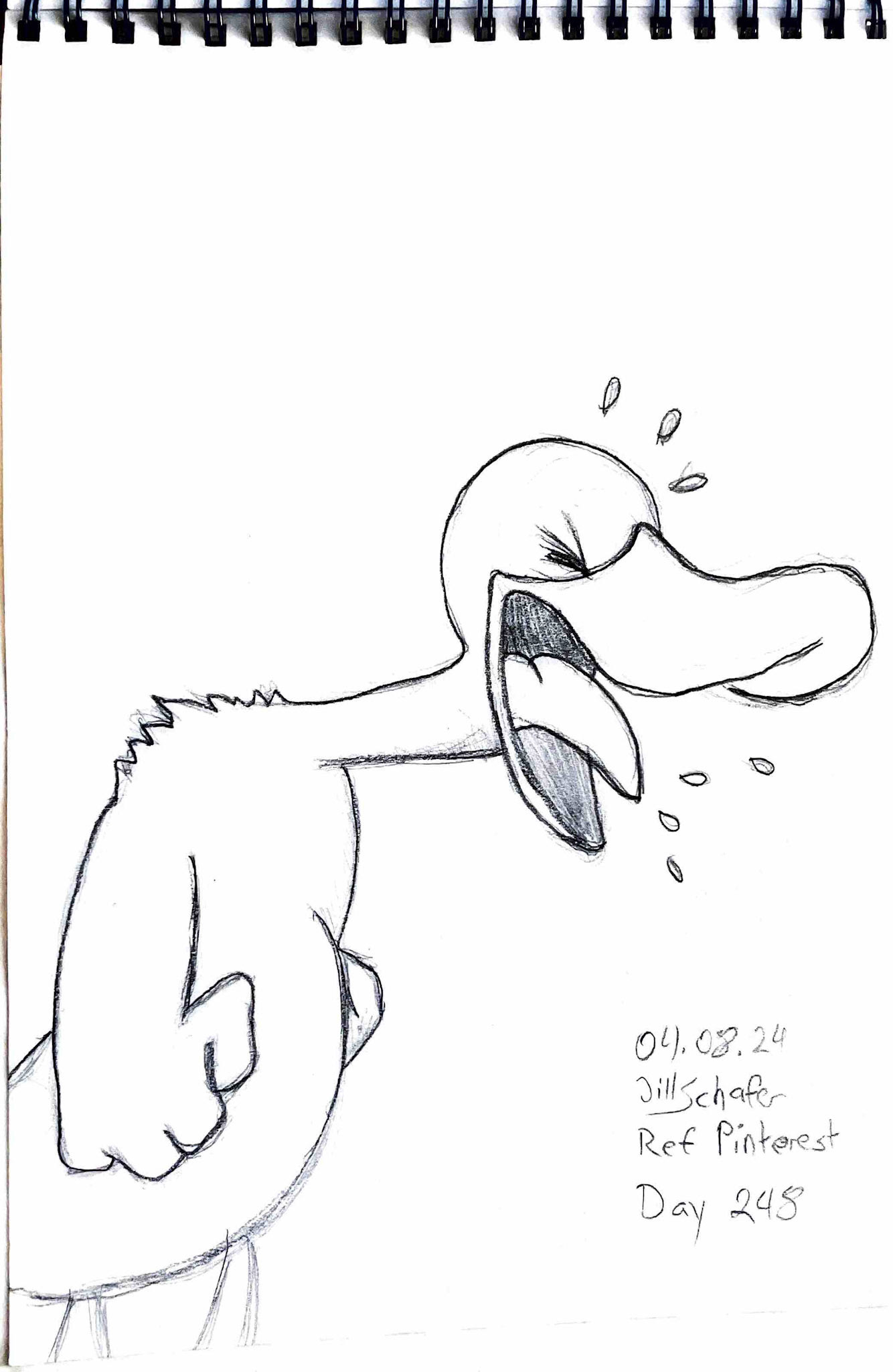 365 Zeichnungen - Drawing every day no matter what