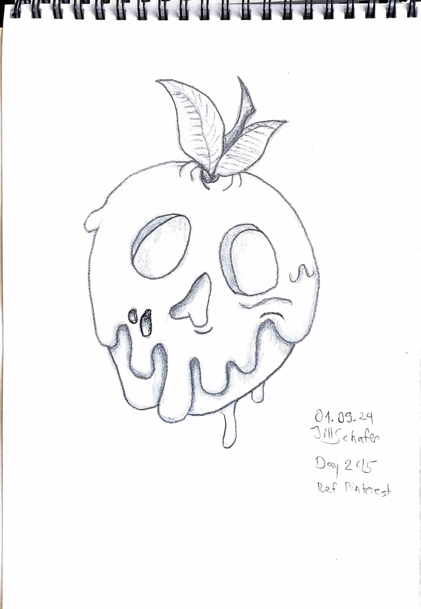 365 Zeichnungen - Drawing every day no matter what
