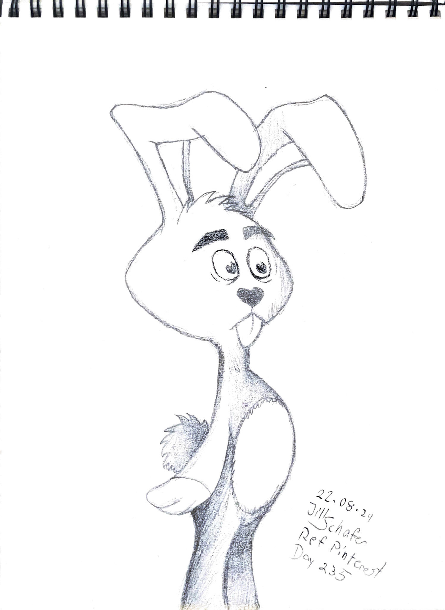 365 Zeichnungen - Drawing every day no matter what