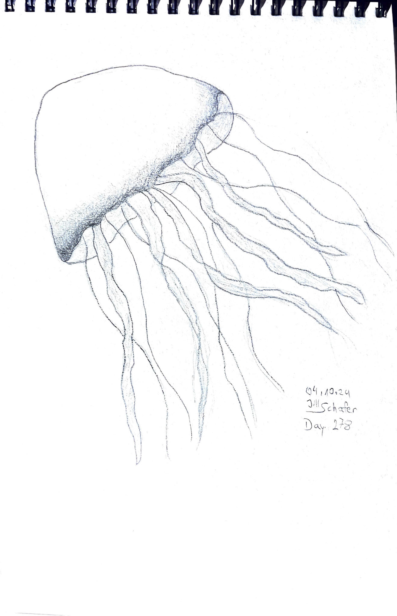 365 Zeichnungen - Drawing every day no matter what