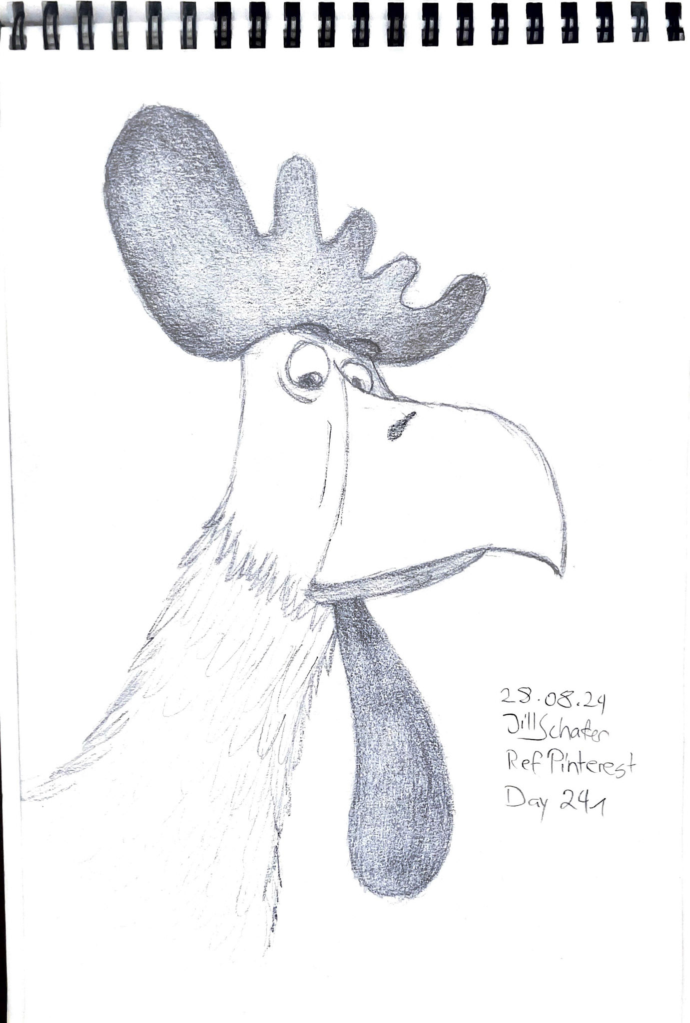 365 Zeichnungen - Drawing every day no matter what