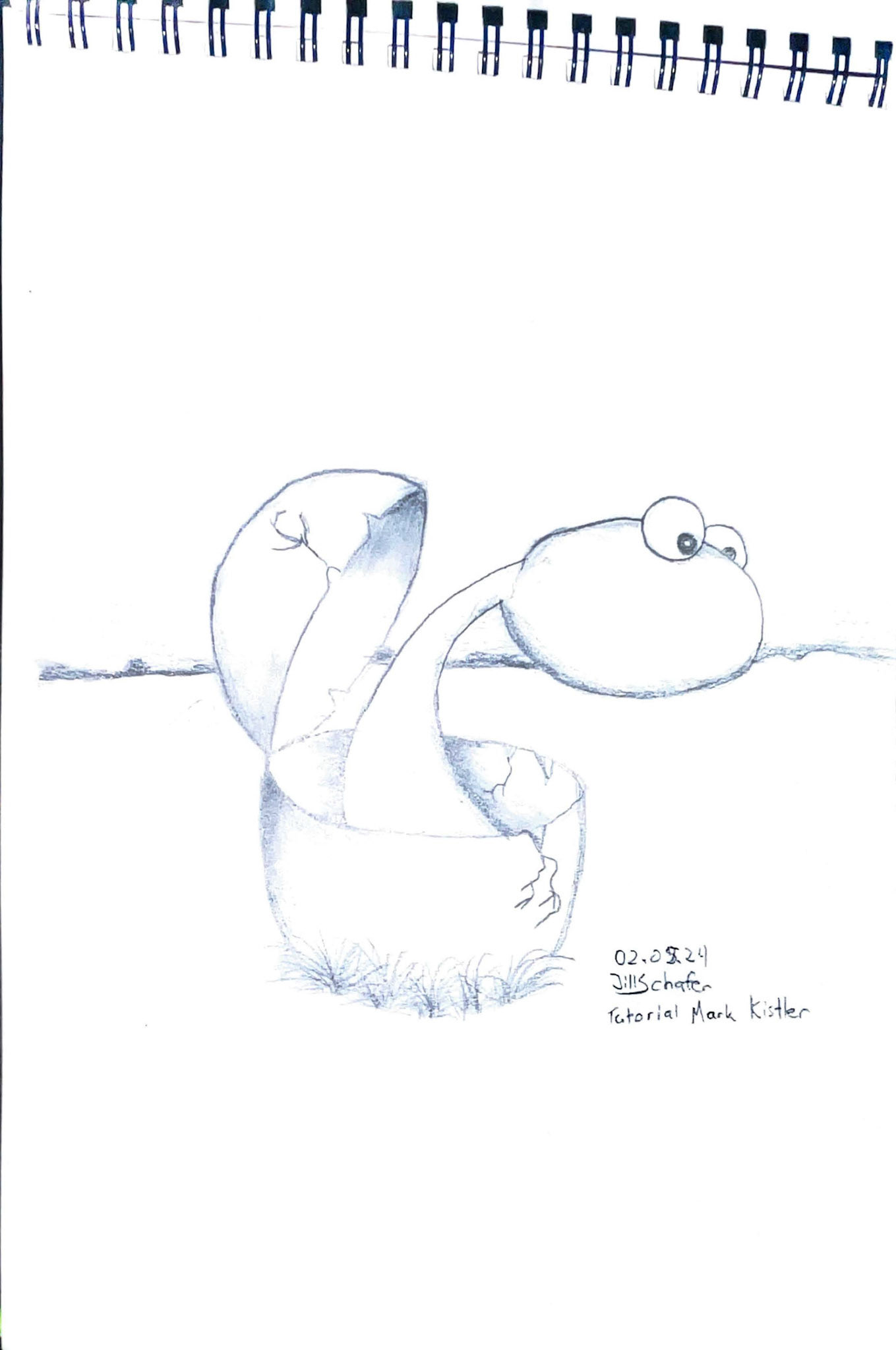 365 Zeichnungen - Drawing every day no matter what