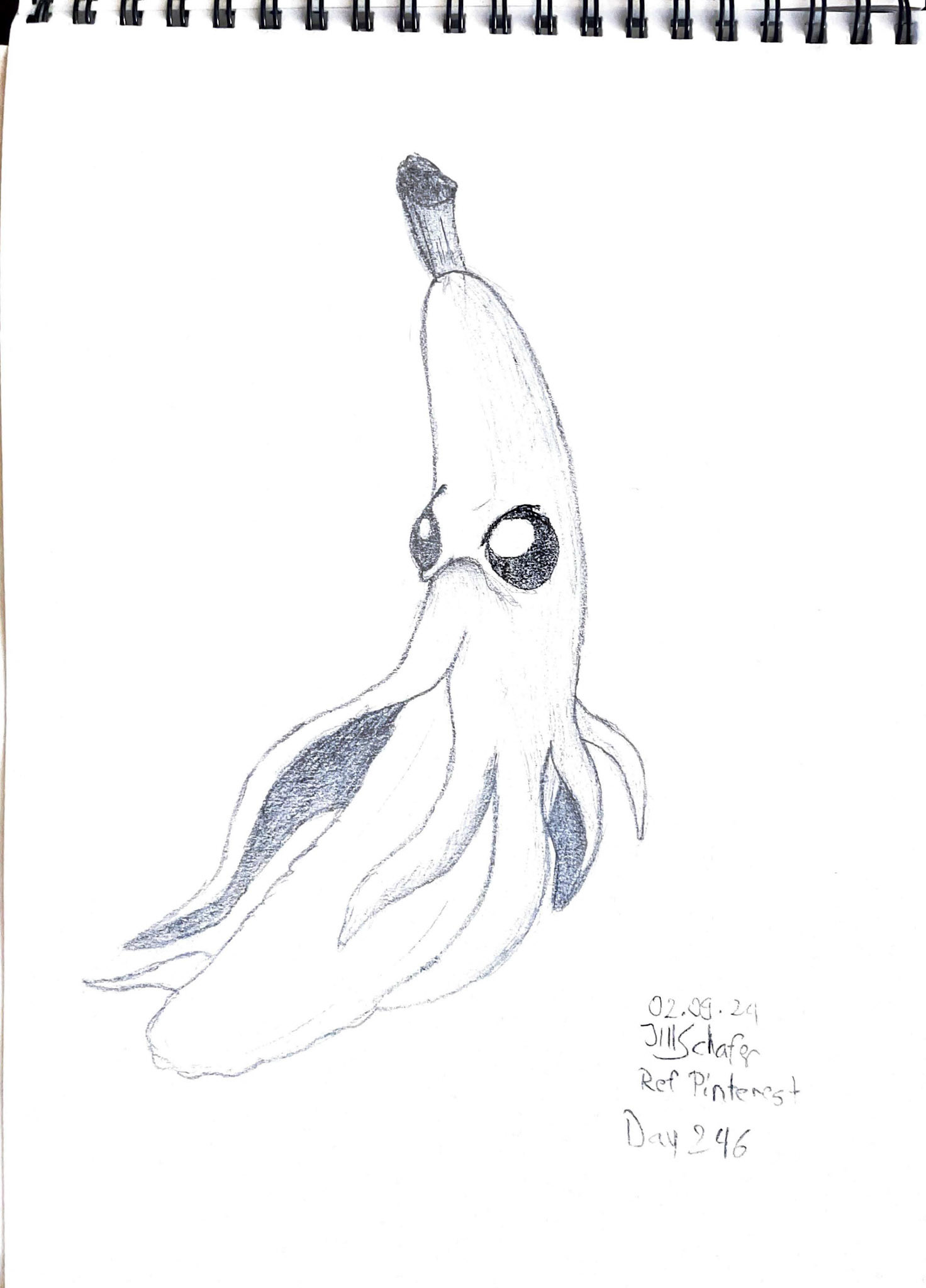 365 Zeichnungen - Drawing every day no matter what