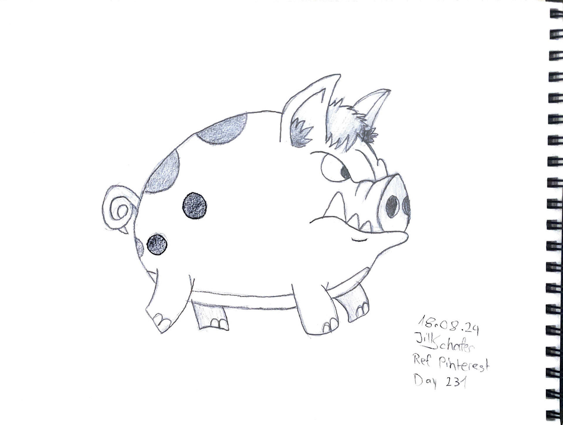 365 Zeichnungen - Drawing every day no matter what