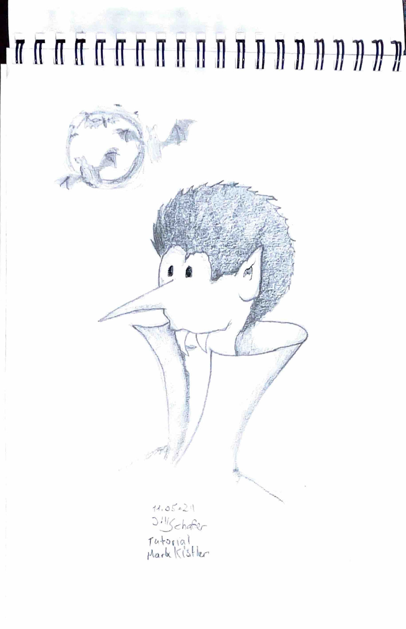 365 Zeichnungen - Drawing every day no matter what