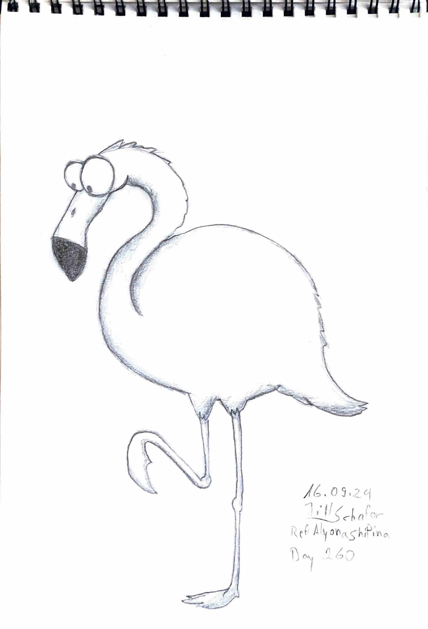 365 Zeichnungen - Drawing every day no matter what
