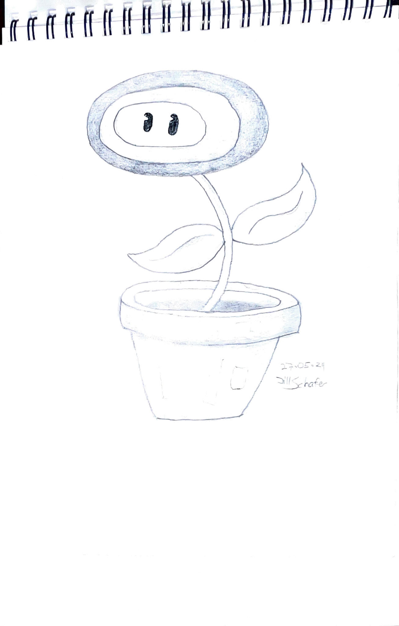 365 Zeichnungen - Drawing every day no matter what