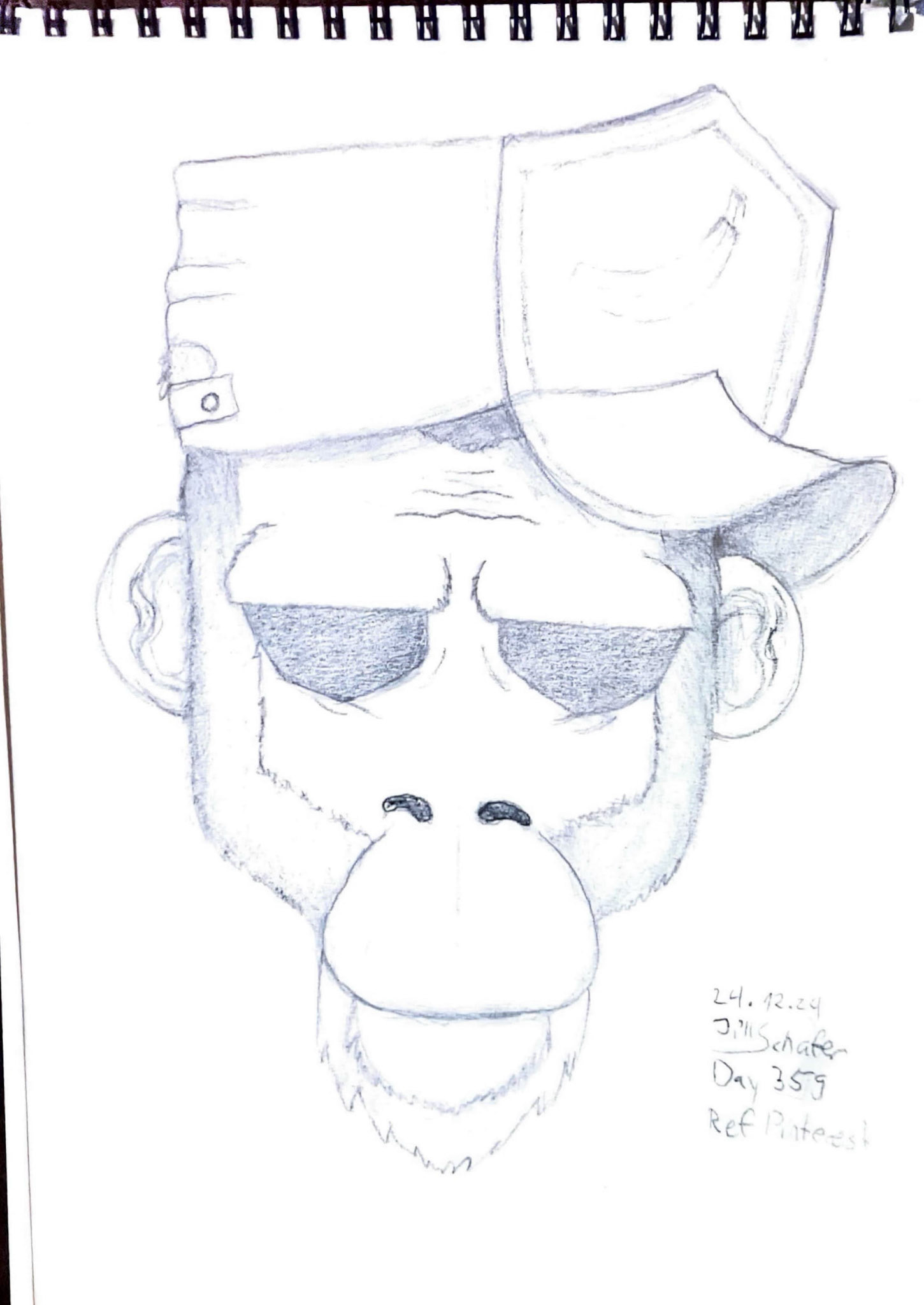 365 Zeichnungen - Drawing every day no matter what