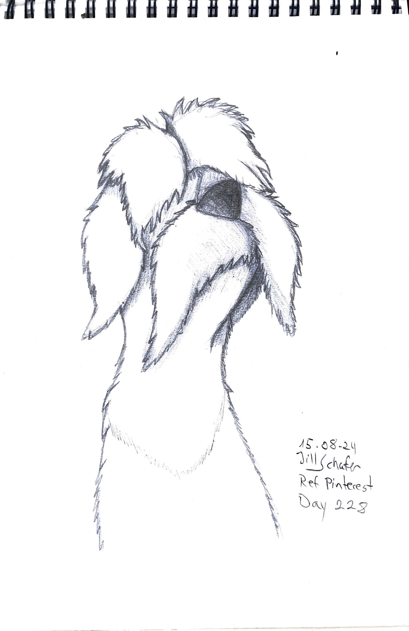 365 Zeichnungen - Drawing every day no matter what