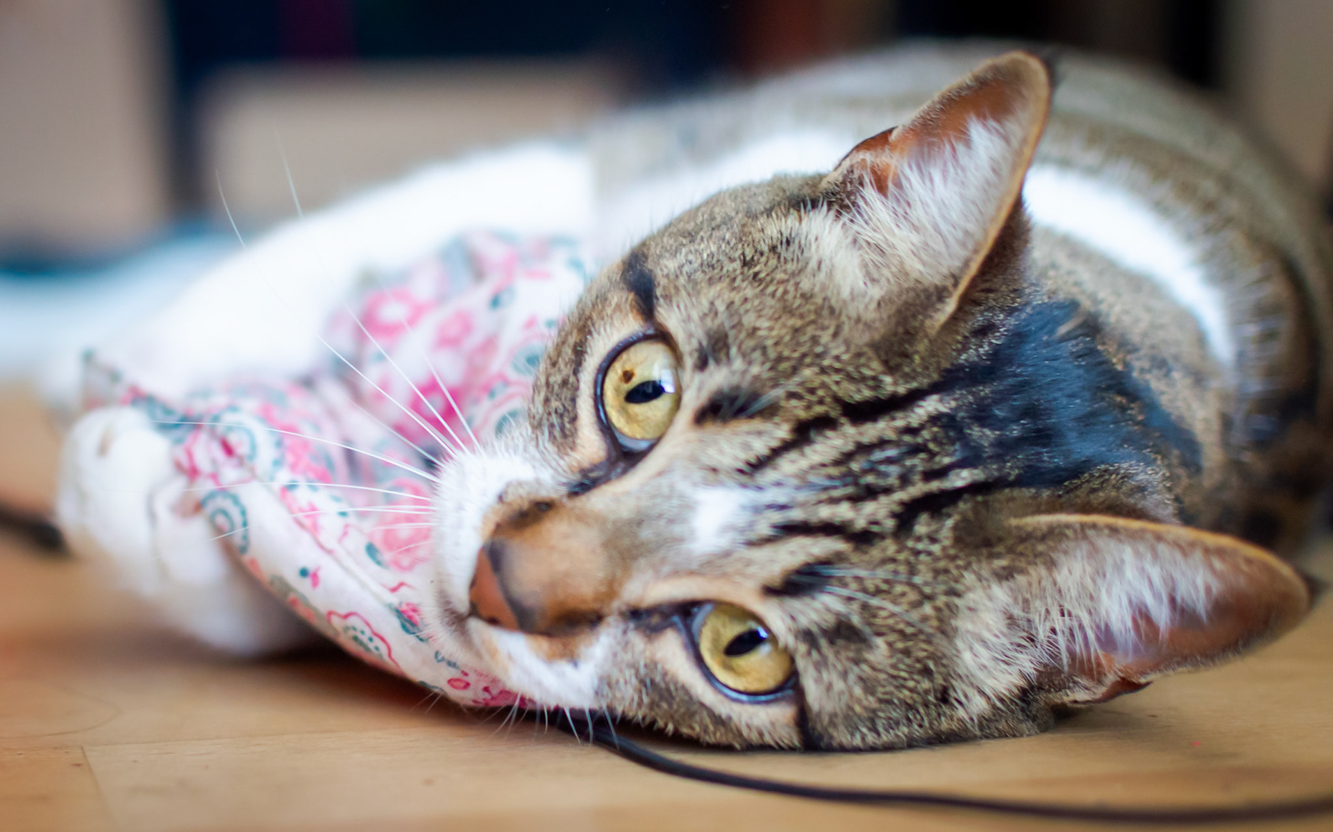 Pippi am spielen