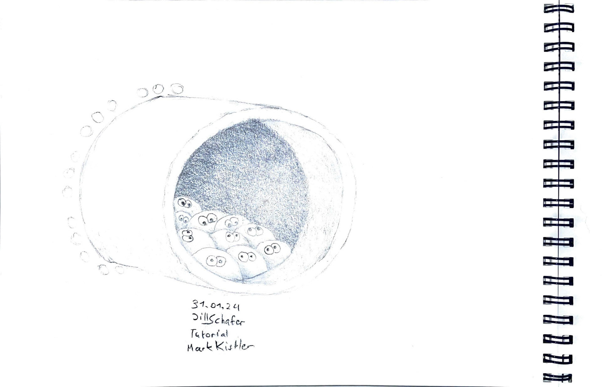 365 Zeichnungen - Drawing every day no matter what