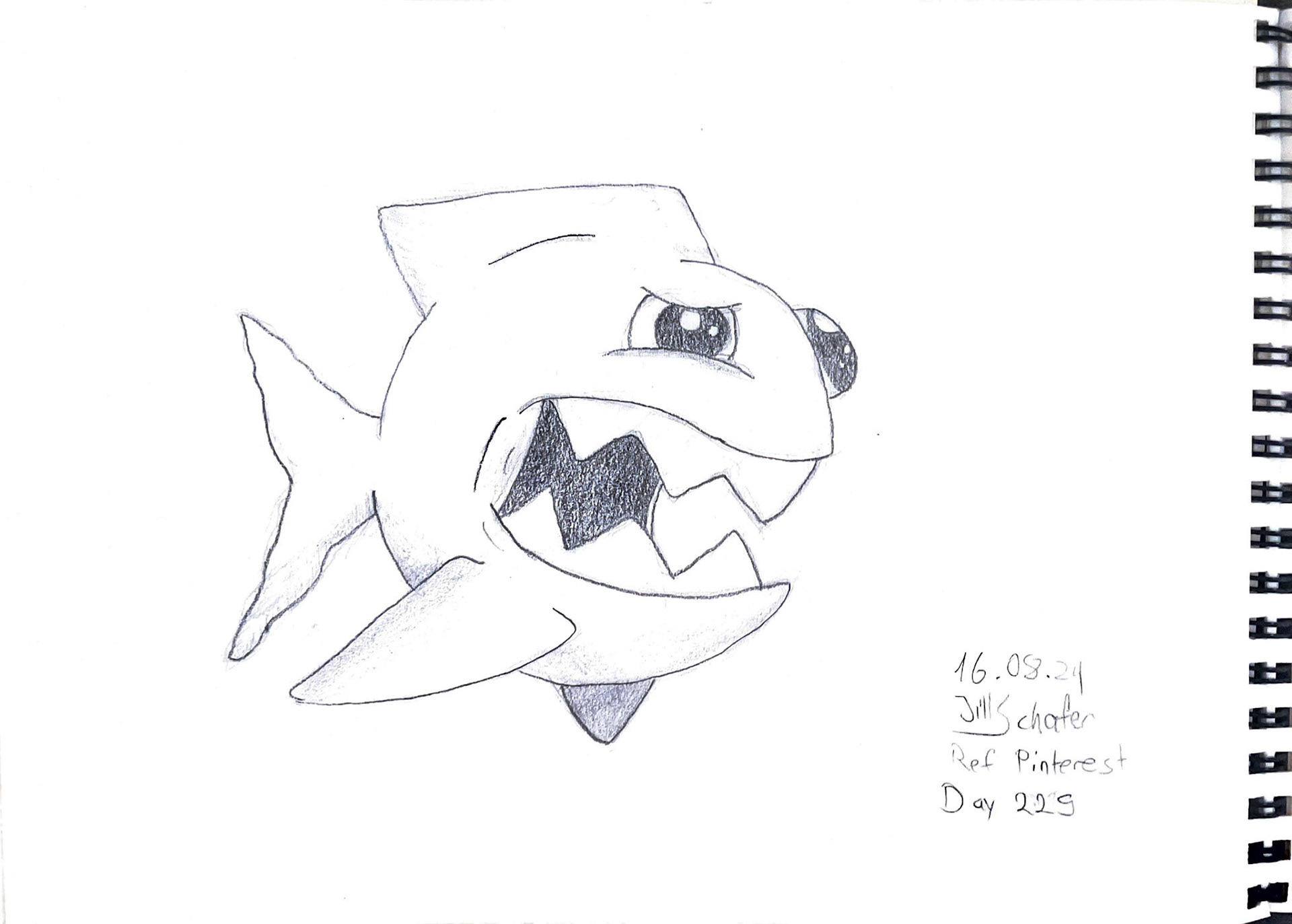 365 Zeichnungen - Drawing every day no matter what