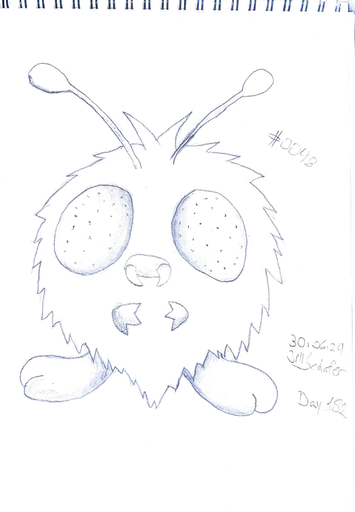 365 Zeichnungen - Drawing every day no matter what